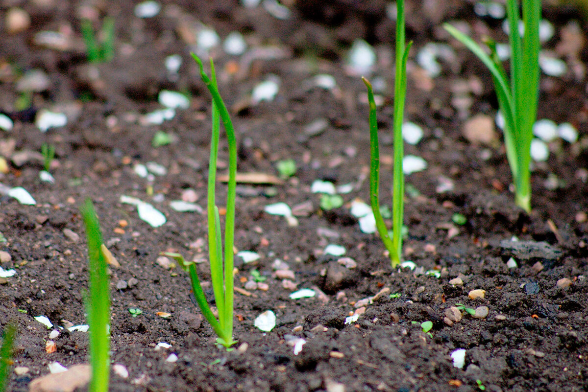 Выбор правильного материала