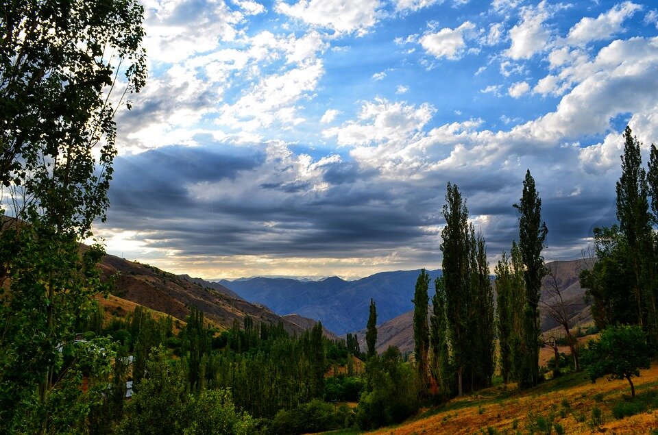 фото взято из открытых источников