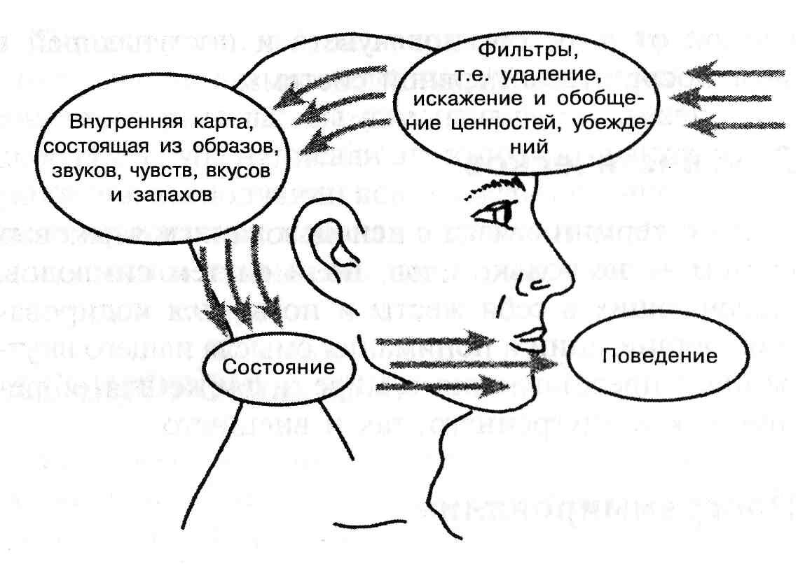 Искажение фактов как называется. Нейролингвистическое программирование. НЛП схема. Модель НЛП. Методика НЛП.