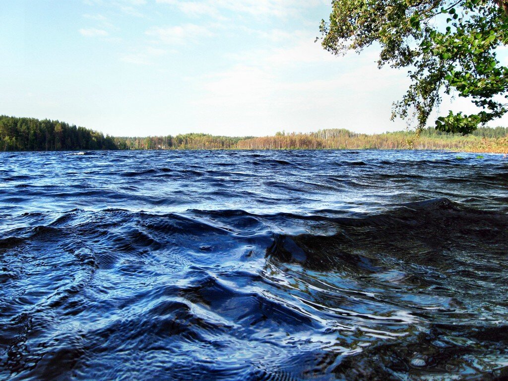 Пела вода река. Ивинка река. Широка река. Вода река. Речная волна.