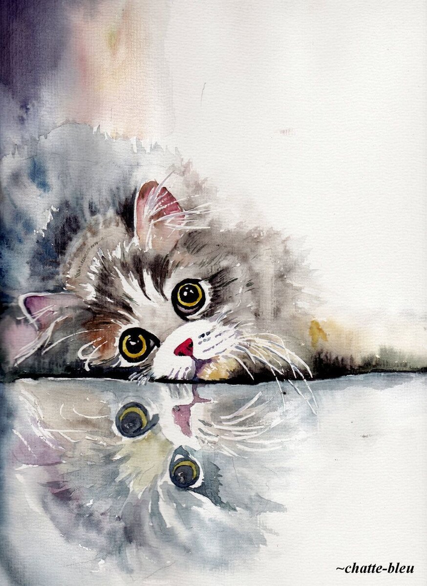 Яндекс картинки. Свободный доступ. 