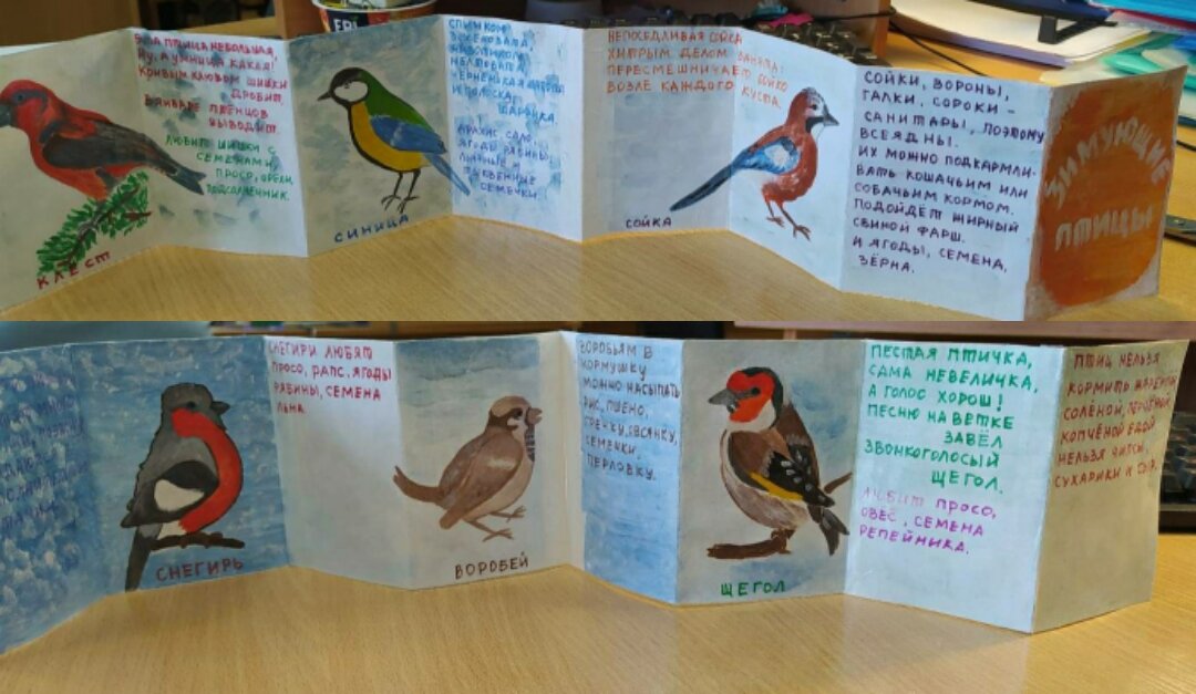 Книжки малышки зимующие птицы. Книги о зимующих птицах для дошкольников. Птицы для книжки малышки. Книжки малышки зимующие птицы. Книжки малышки зимующие птицы.