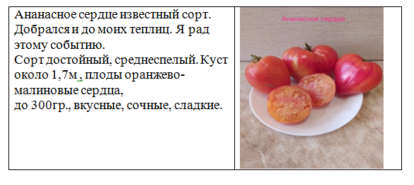Ананасовое сердце томат описание и фото