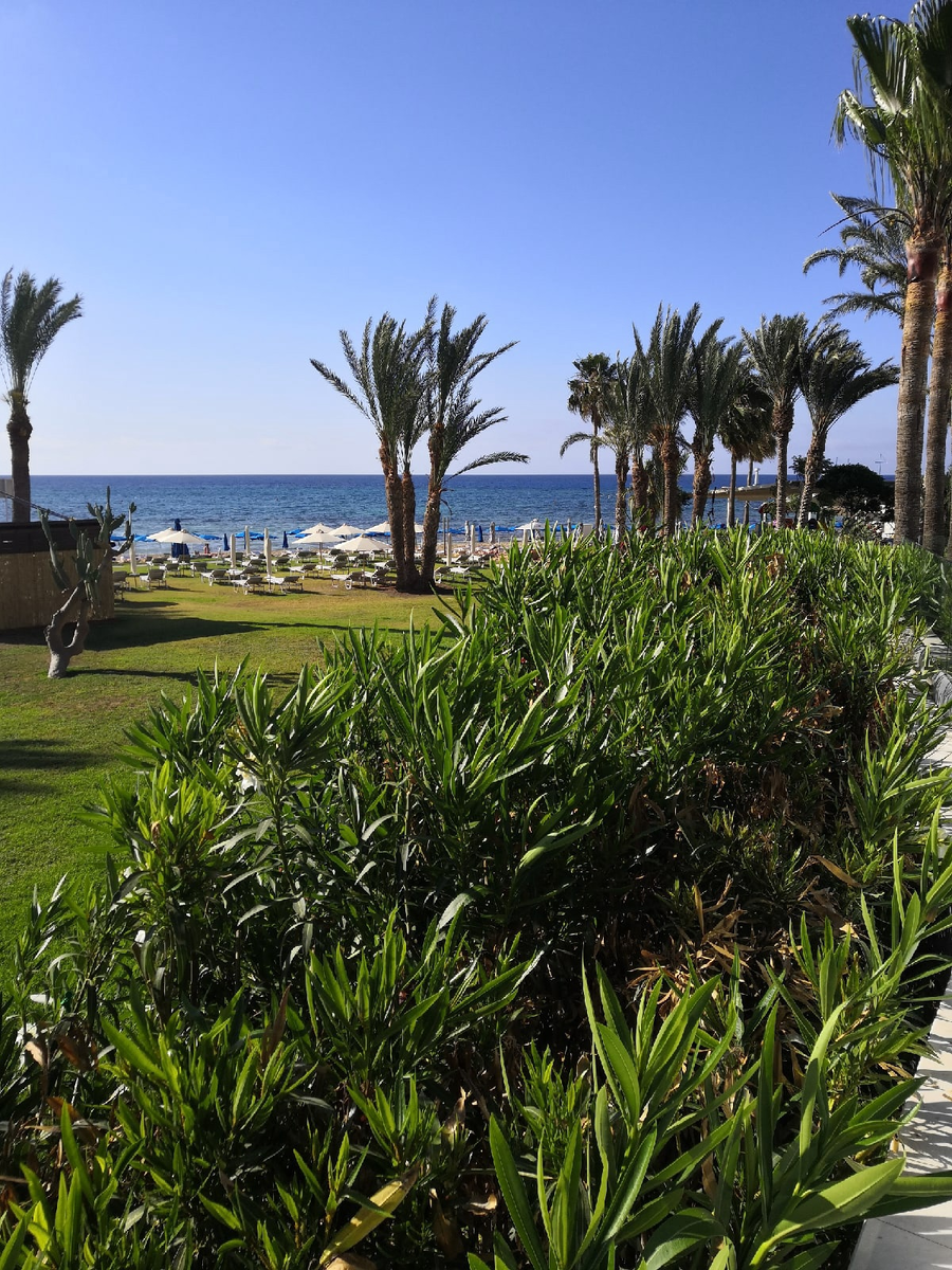 Вид на море с территории отеля