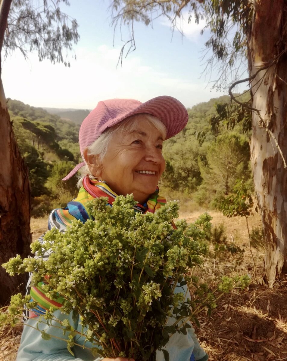 Собираем орегано в горах