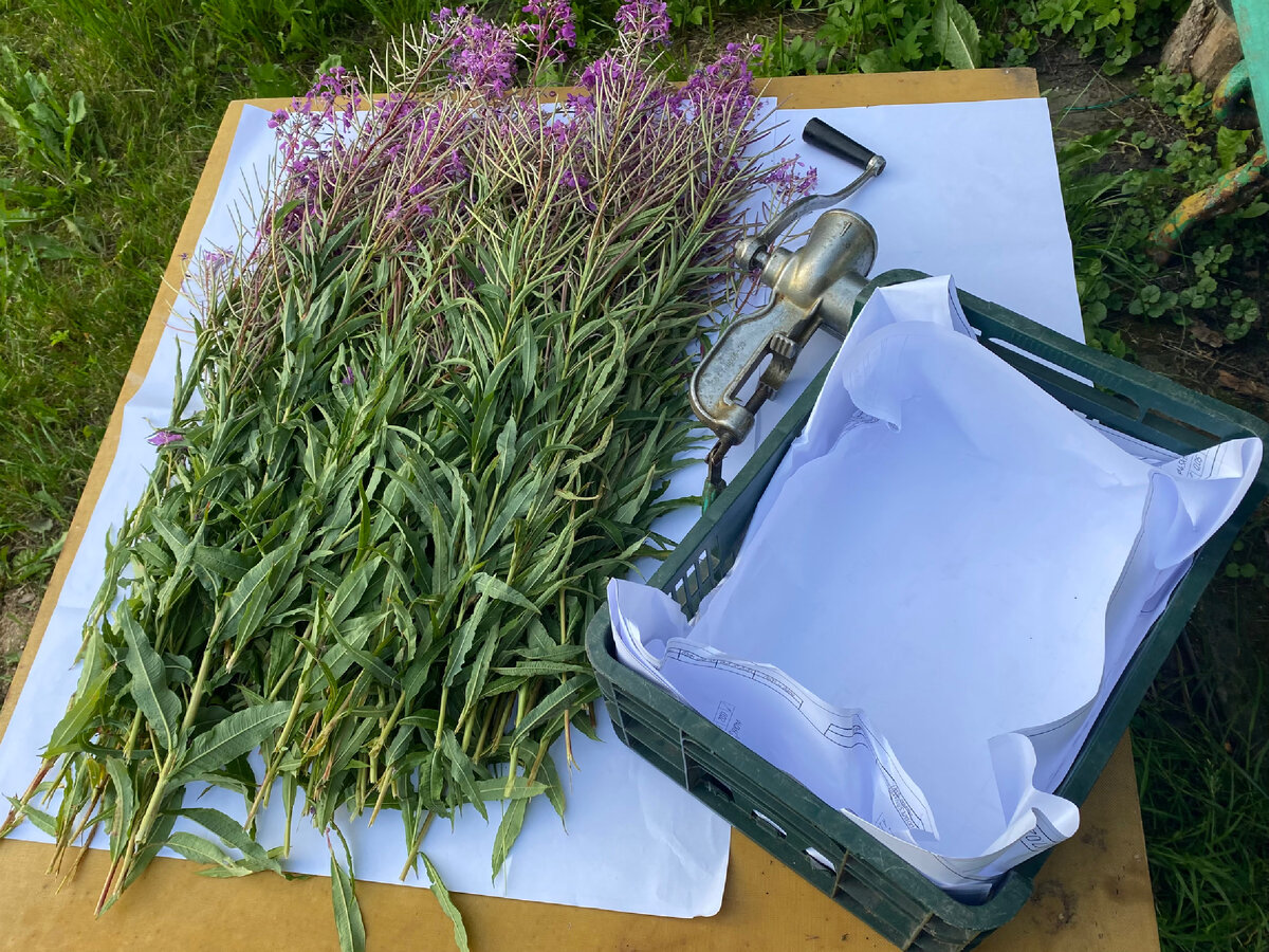 Можно было и не срывать стебли)