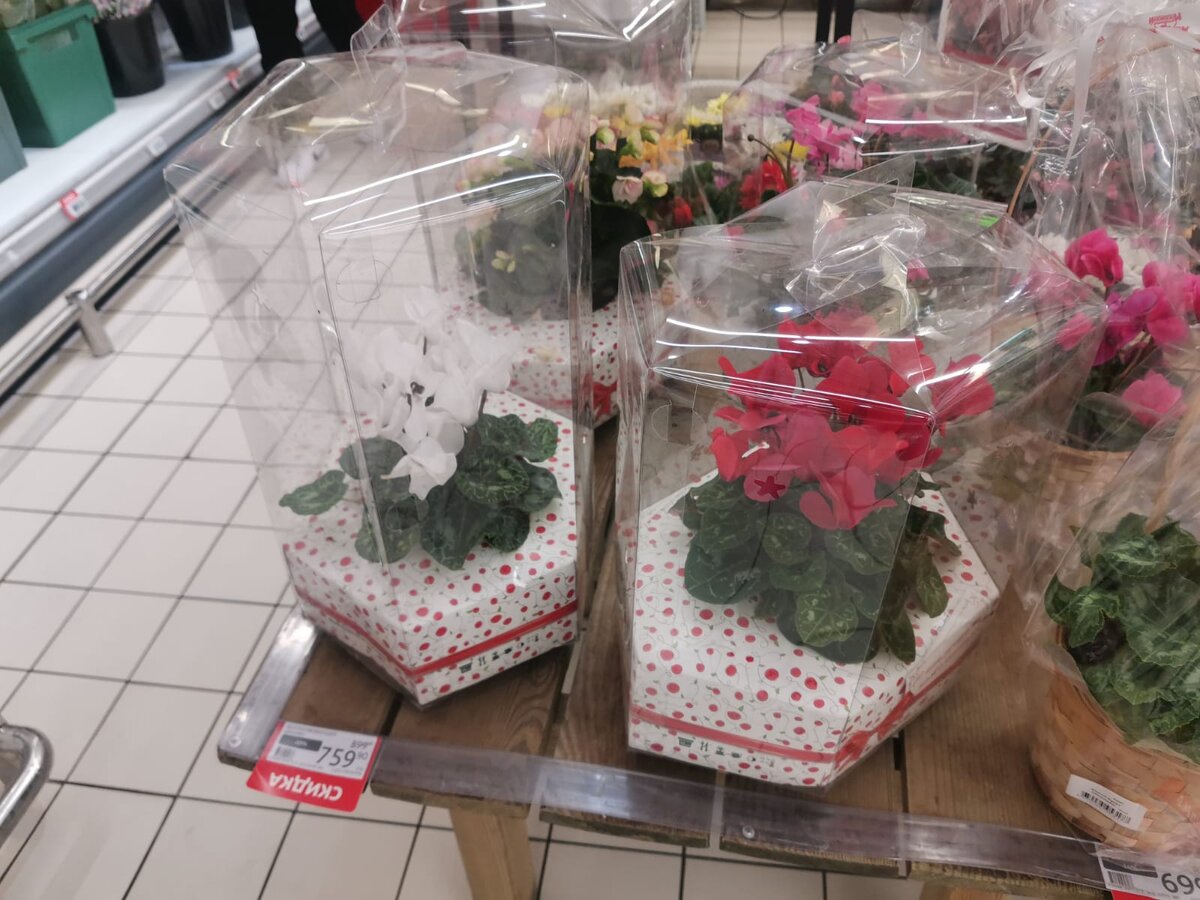 Празднично упакованный куст стоит 759 рубликов. 