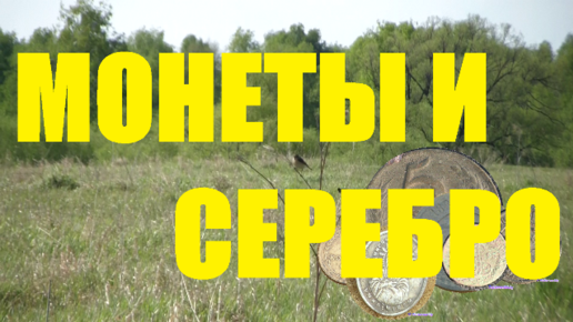 МОНЕТЫ И СЕРЕБРО. ЦЕЛЫЙ ДЕНЬ НА КОПЕ! НАКОНЕЦ-ТО!