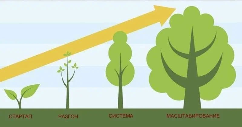 Изображения взяты из открытых источников.