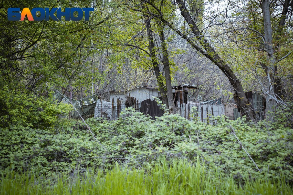 Кому в Краснодаре жить хорошо: плюсы и минусы городских ЖК | Блокнот  Краснодар | Дзен