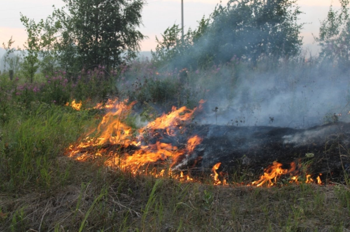    В Хабаровском крае тушат лесной пожар