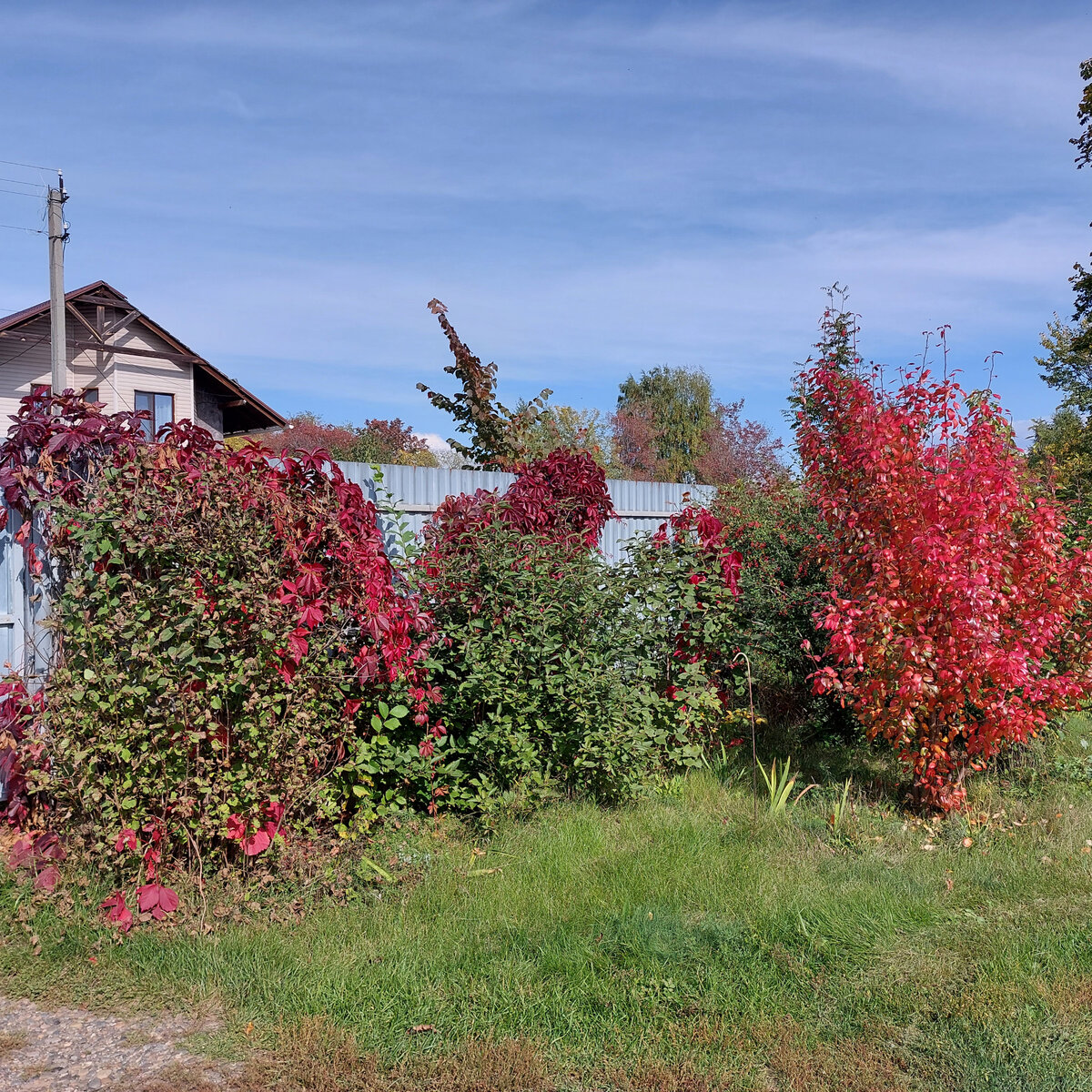 Красивейшая картинка на даче. Одна из очень многих