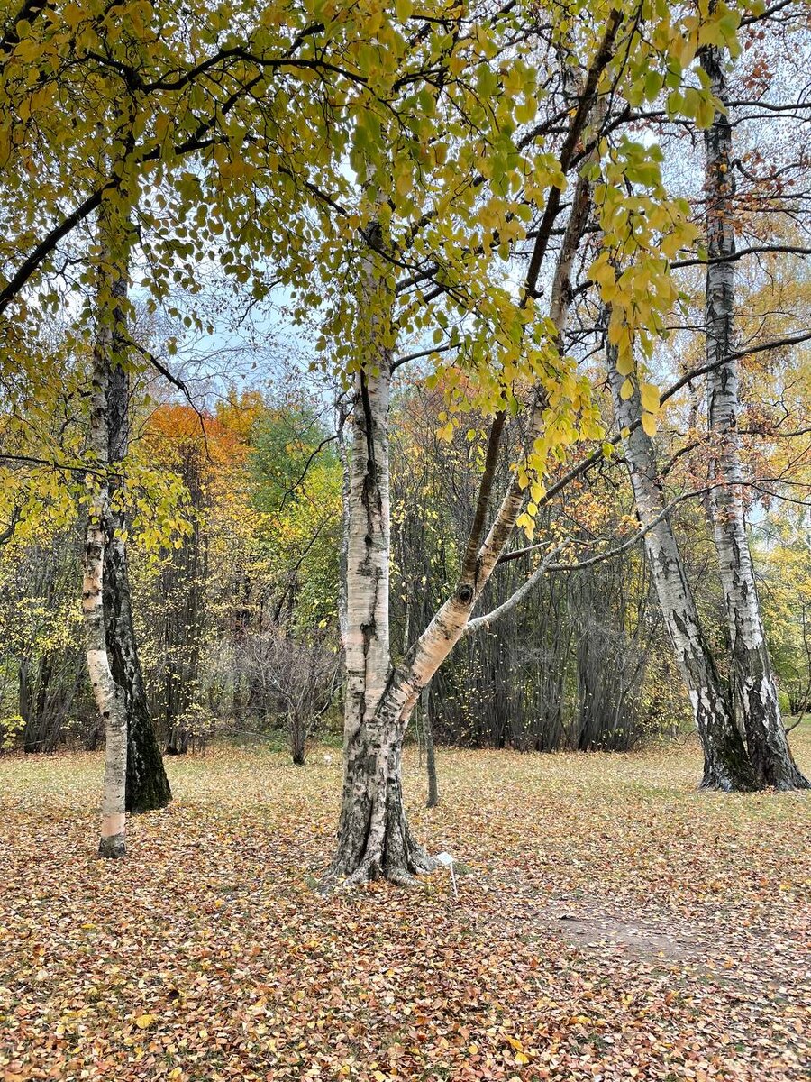 Фото из архива автора