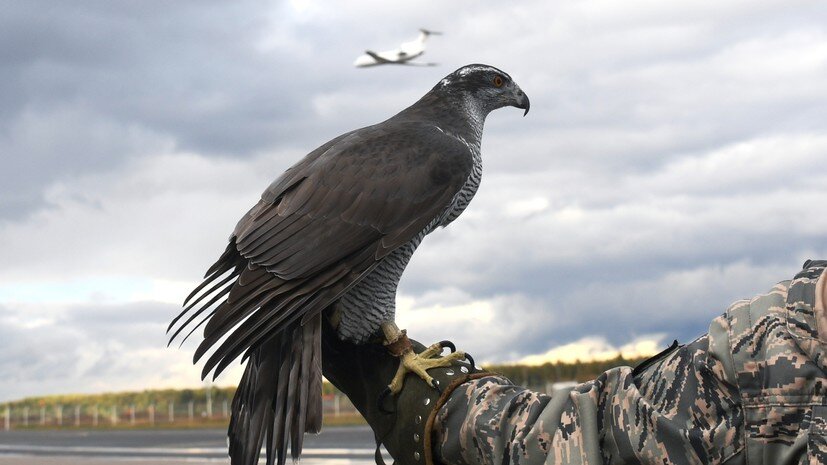   РИА Новости Кирилл Каллиников