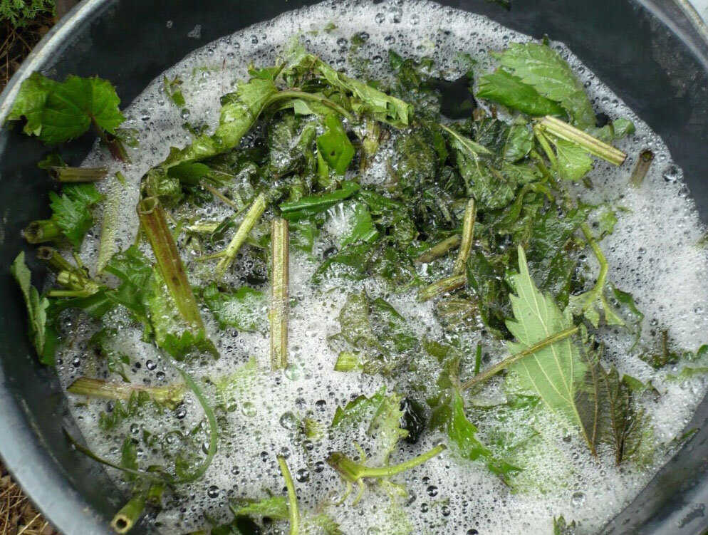 Процесс брожения