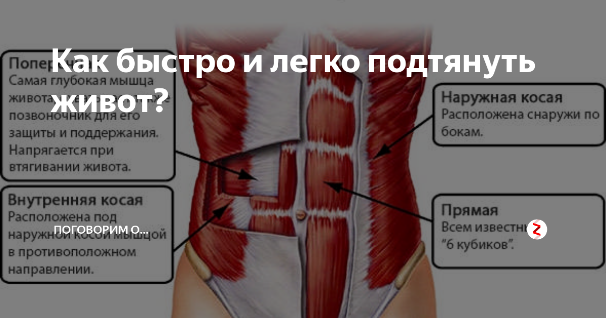 Как накачать поперечную мышцу живота. Поперечная мышца живота упражнения. Как подтянуть мышцы живота. Поперечная мышца живота упражнения для женщин.