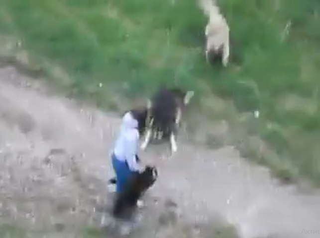 кадр видео