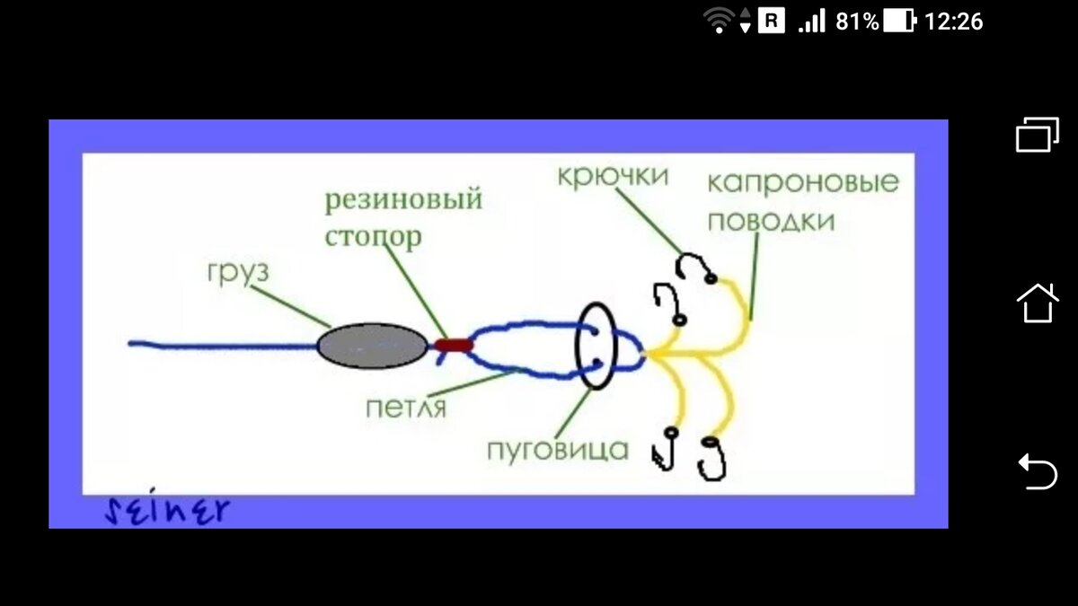 фото снасть пуговица на карпа, схема и монтаж макушатника на карпа