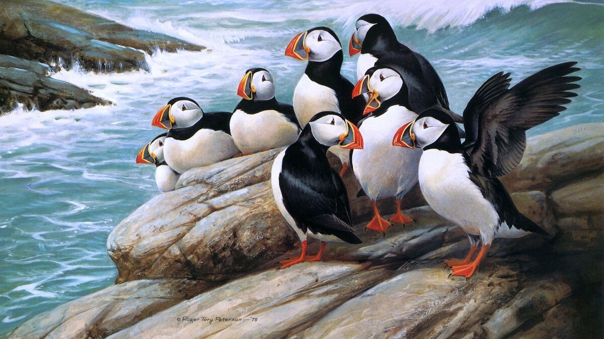 Считай замена пингвинов в Северном полушарии 