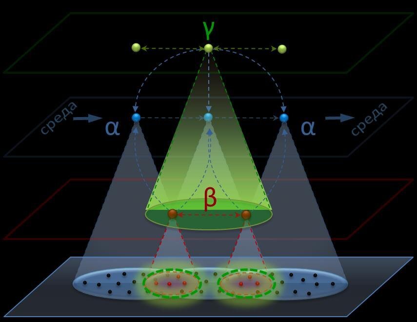 Нейроны возбуждаются в ответ на некоторый «атомарный» стимул. Группа одновременно возбуждающихся нейронов на один и тот же стимул составляет квалон, то есть элемент восприятия целостного качества (квалиа) — уровень БЕТА. Множество одновременно возбуждающихся квалонов составляет оперон, который отвечает за целостное распознавание некоторой ситуации и реакции на неё — уровень АЛЬФА. Наконец, холон — это группа оперонов, реагирующих на семантически схожие ситуации — и это уровень ГАММА.