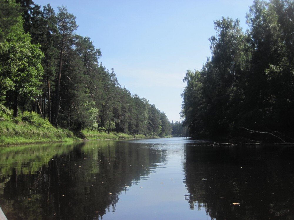 река бужу. речка бужа рязанская область. река бужа. река бужу. река бужа.