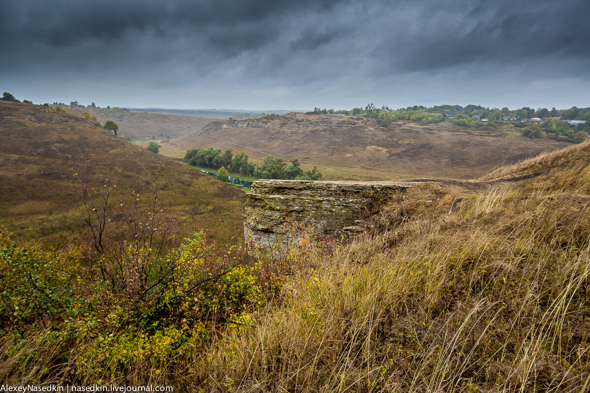 Скажу честно, мне не раз приходилось лицезреть всевозможные необычности Средней полосы России, однако, увиденное недавно изрядно удивило. Что это? Липецкие Альпы? Русская Швейцария? Перед вами, дорогие друзья, Воргольские скалы - напластования странных нерукотворных скульптур, входящих в состав заповедника «Галичья Гора». Знаете о таком месте?

