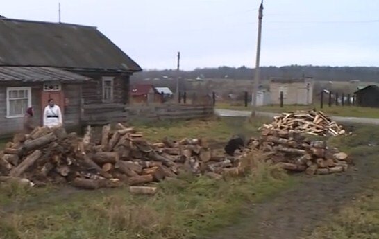 Фото:  старушку "завалили" дровами стоп-кадр с видео https://www.youtube.com/watch?v=DPZnAm9K1B0