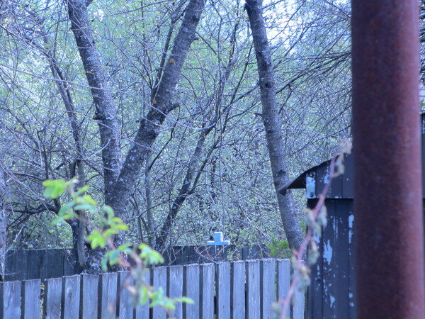 Вот  фото иконки на воротах и креста (извините, что снимки нечеткие: дом  частный, снимать пришлось издалека через калитку, двор и ограду, однако  крест увидеть все же можно). Находятся они именно у д. 3, а не 23.
    
    
