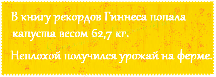 Интересный факт.
