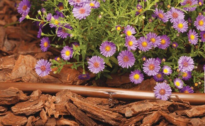 Прикорневое микроорошение цветника