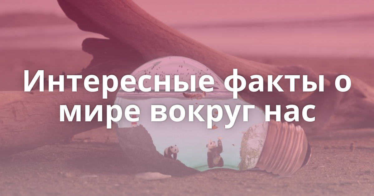 Удивительные факты. Ш. Интересные факты о разных странах. Удивительные факты. Самые удивительные факты в мире.