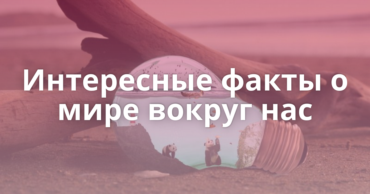 Интересные статьи о мире. Интересные факты. Факты о мире. Интересные факты о нас.