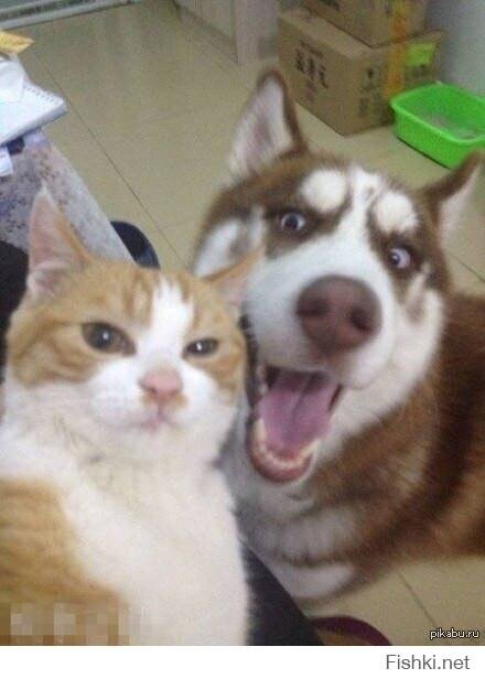 Селфи с соседским Тузиком.