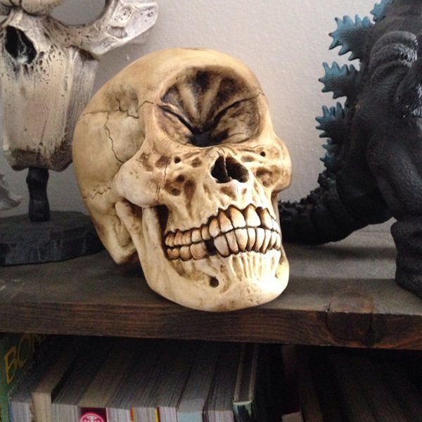 Череп циклопа. Да, у него действительно был один глаз