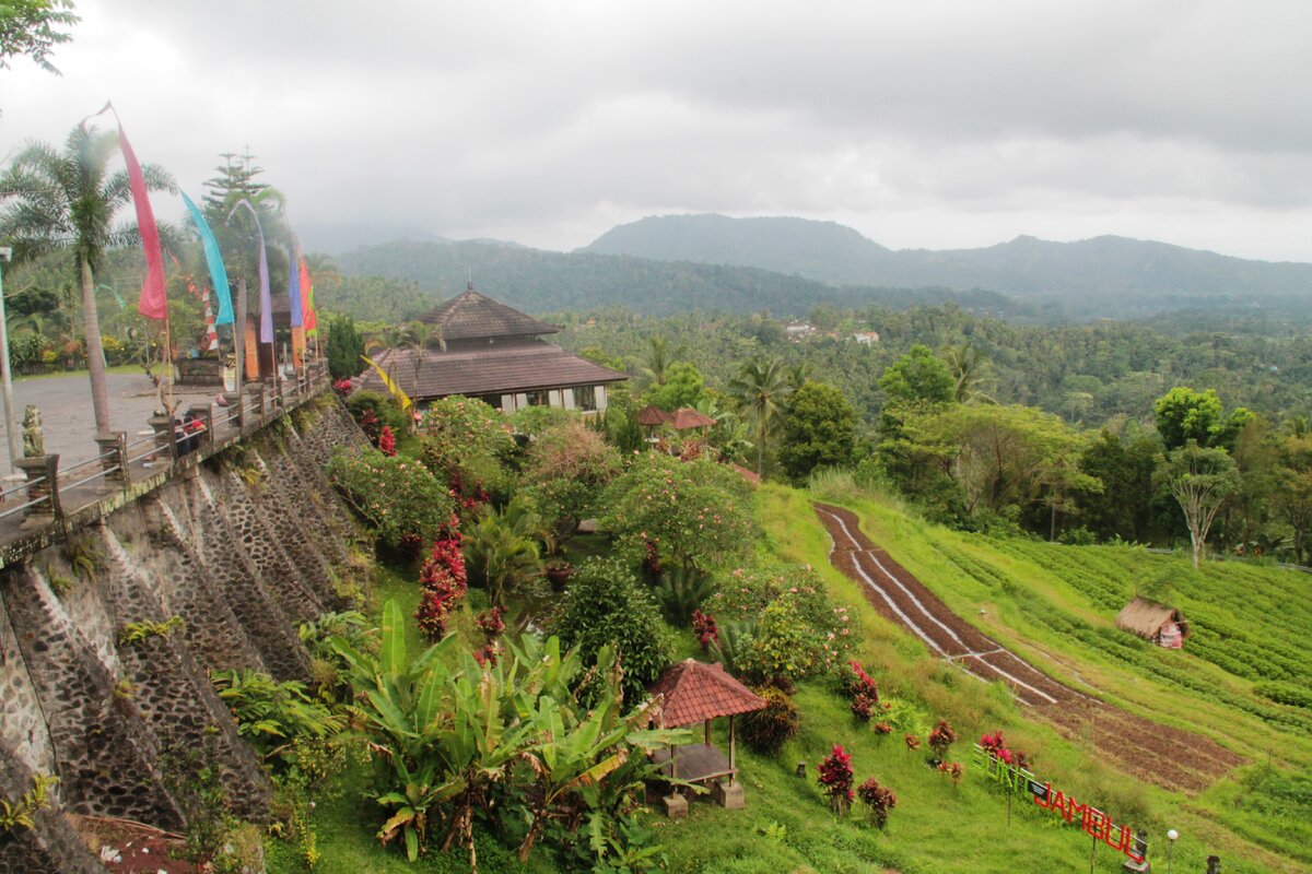 Остановка на обед по пути на вулкан с видами на рисовые террасы