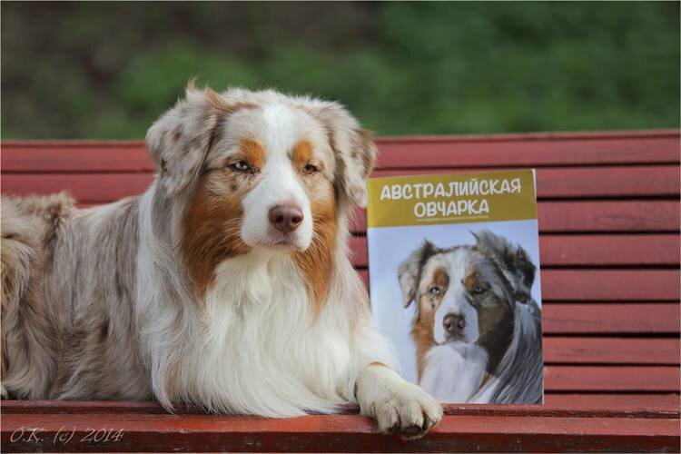 Федя был звездой