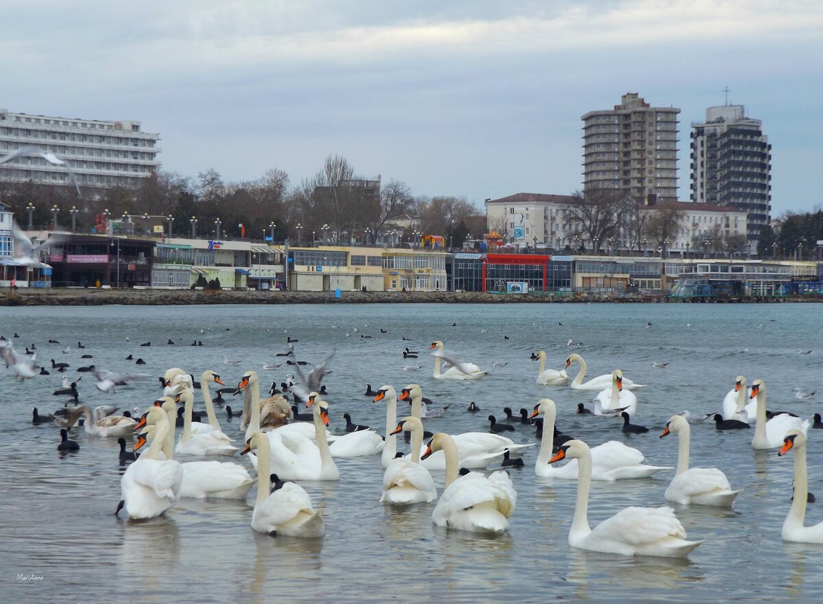 Какая погода в анапе в феврале