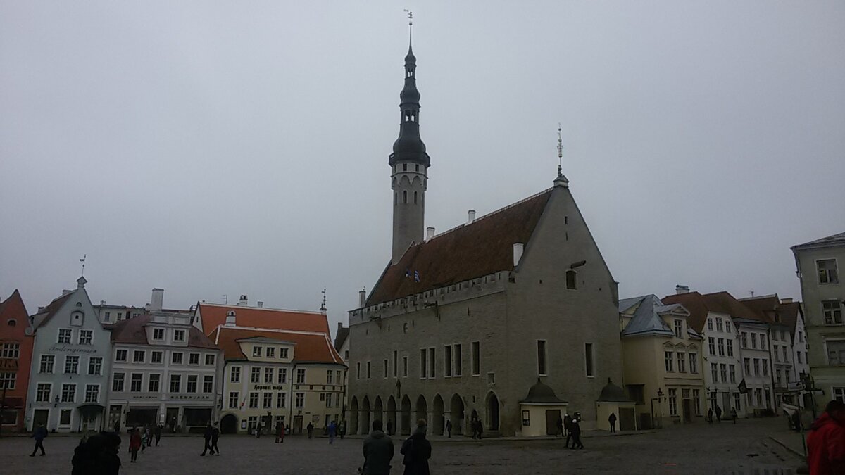 Таллинн (Tallinn) для детей. | Посмотреть Россию из окна авто | Дзен