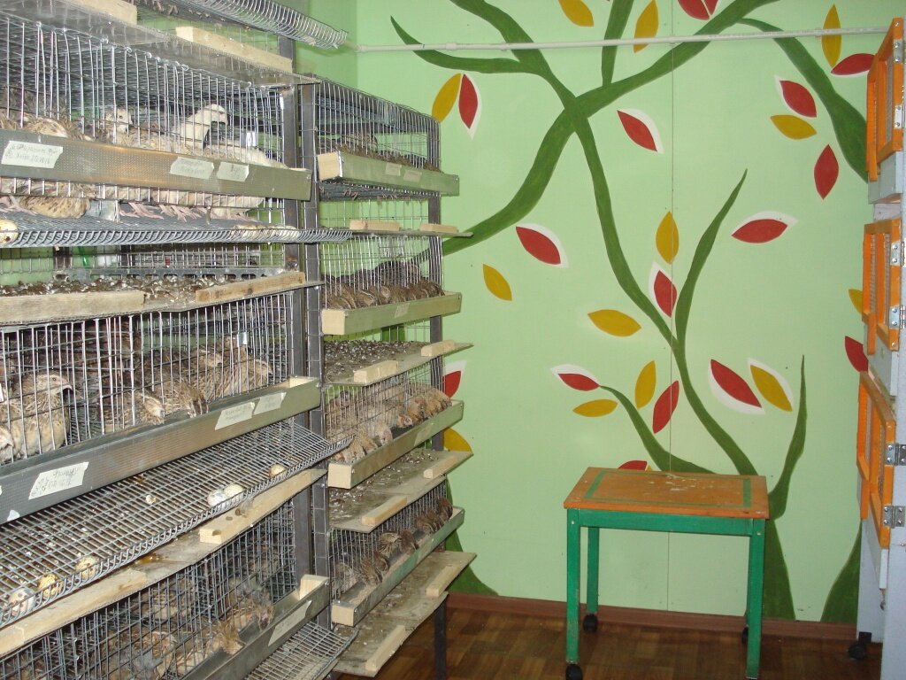 Изображение взято с интернета