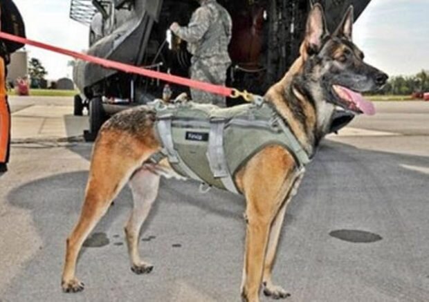 Каир перед отправкой в Афганистан