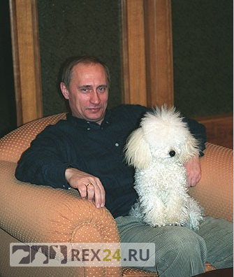 Фото: ru.reuters.com
