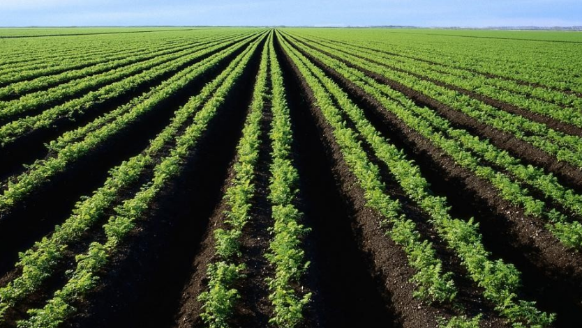 яндекскартинки