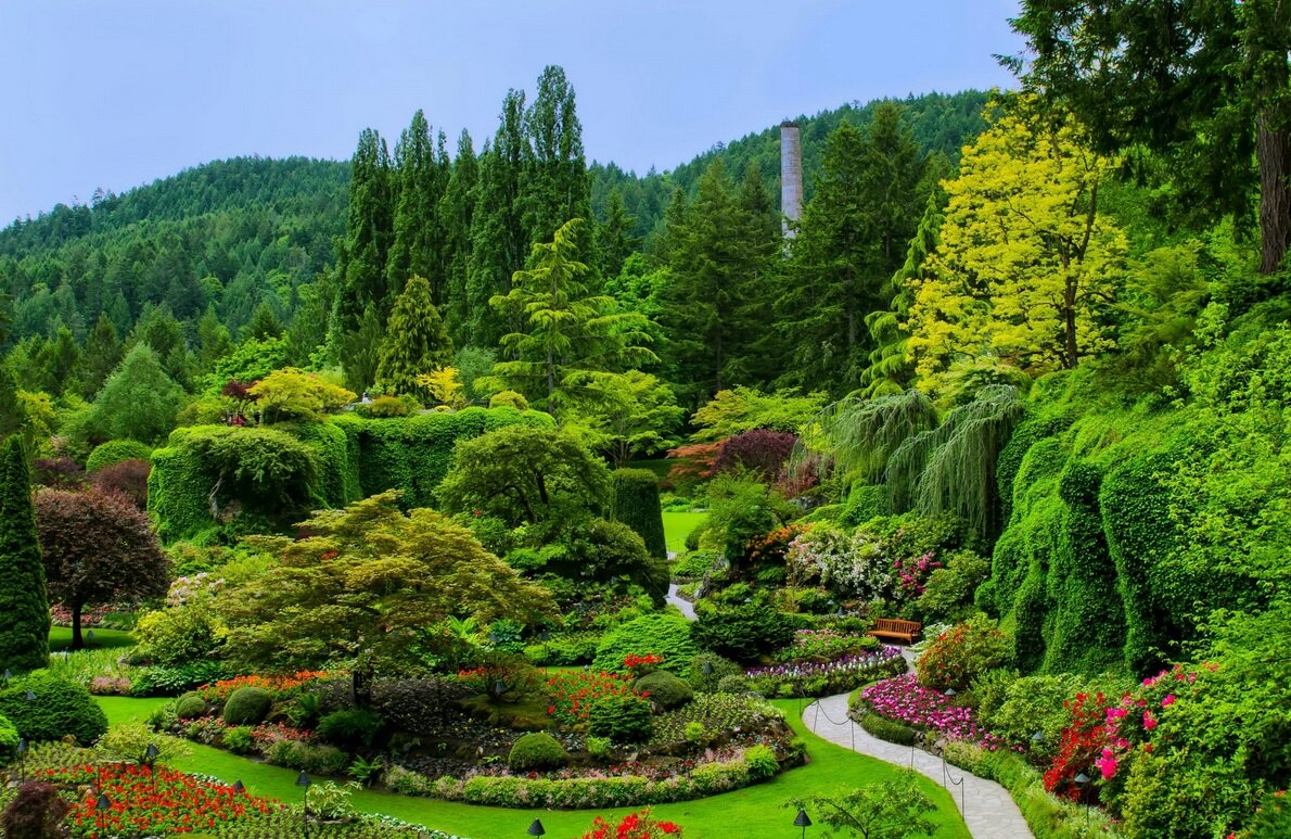 Фото взято с сайта 1zoom.ru