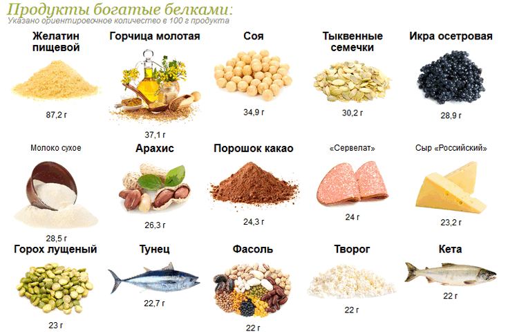 Сколько белка для роста мышц