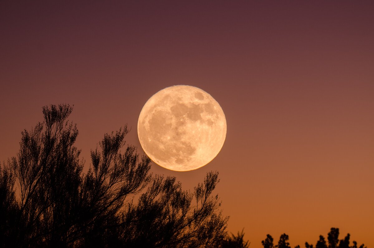 Луна - большой спутник, если смотреть относительно размеров Земли. (фото^ gkumar2175  unsplash.com)