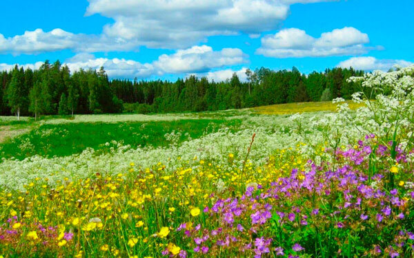 Источник фото сервис Яндекс.Картинки