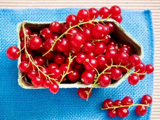 Красная смородина особенно популярна на летней кухне 