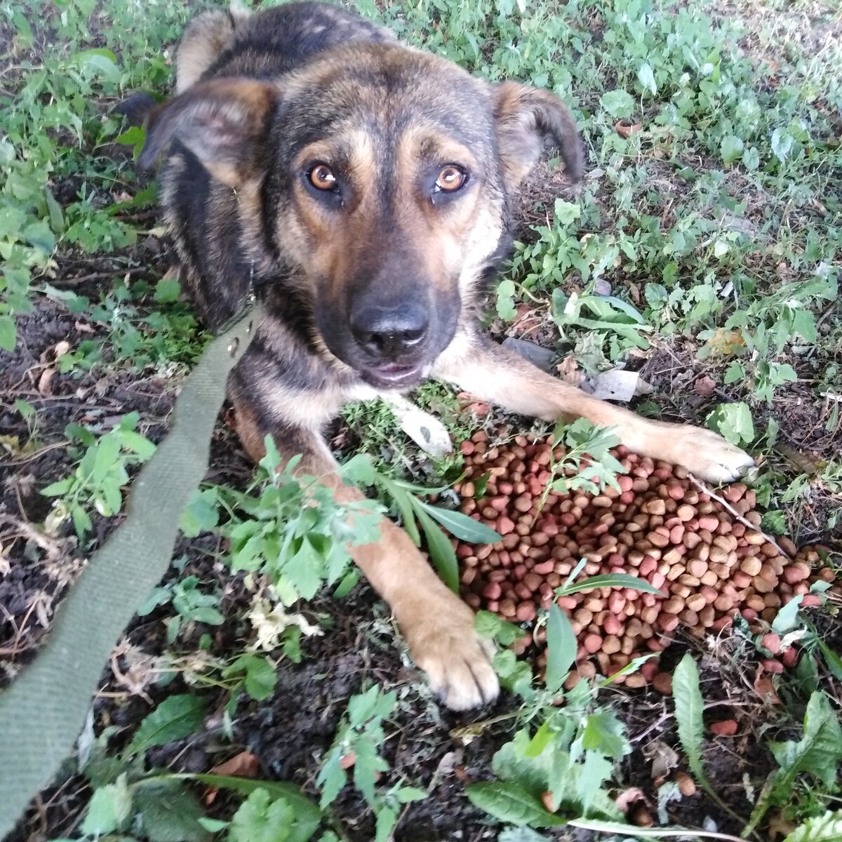 Ромочка ужинает