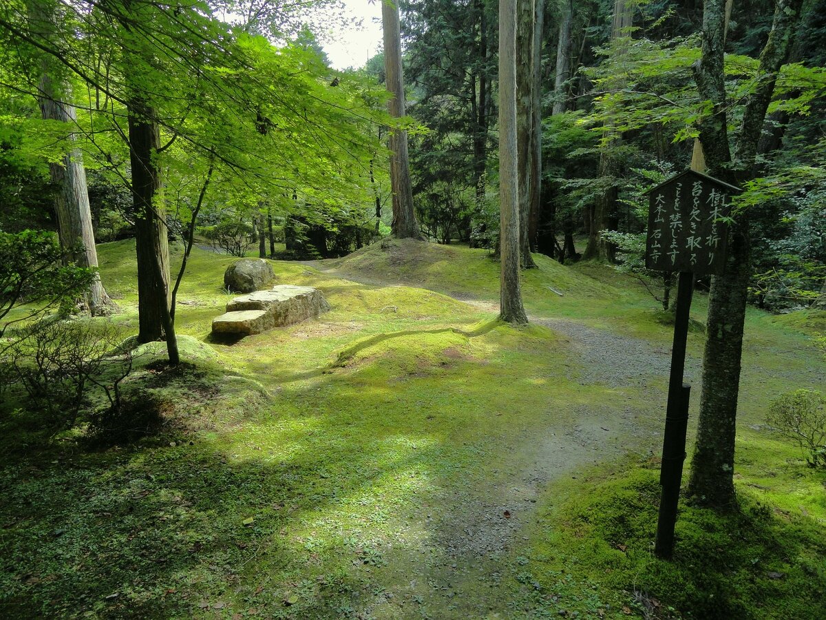 Ландшафт Японии леса