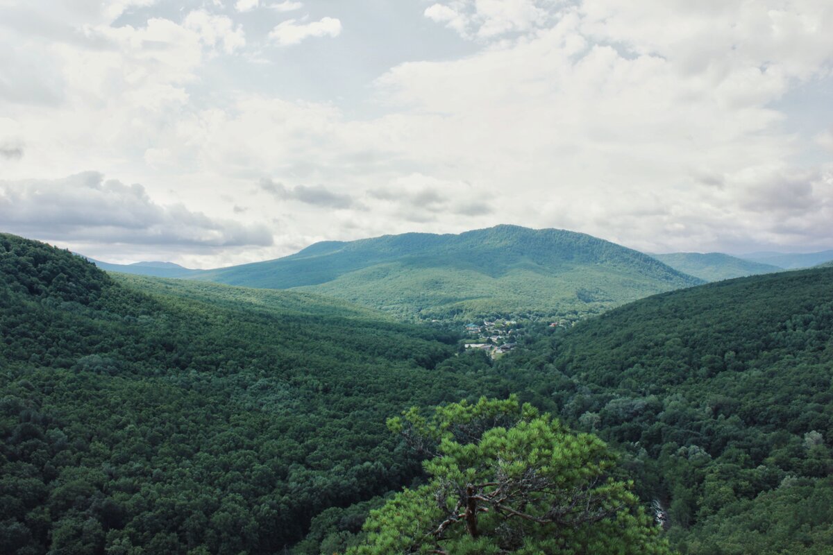 Планческая щель